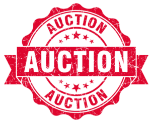 Live Auction @ Lake Redding Park - Eastside | Redding | California | United States